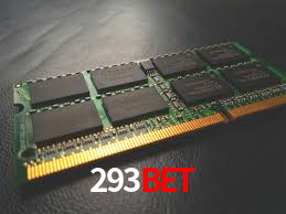 293bet App Interface